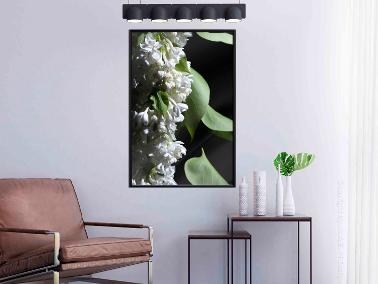 Poster Lilac Detail - botanical composition with white flowers and leaves on black 121885 additionalImage 3