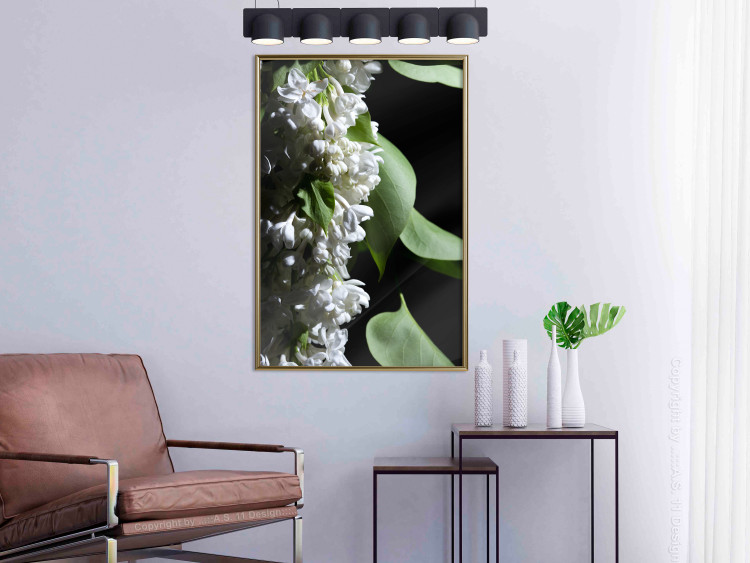 Poster Lilac Detail - botanical composition with white flowers and leaves on black 121885 additionalImage 5