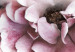 Canvas Sacrum Profanum - interpenetrating photos of clouds and pink flowers 122785 additionalThumb 5