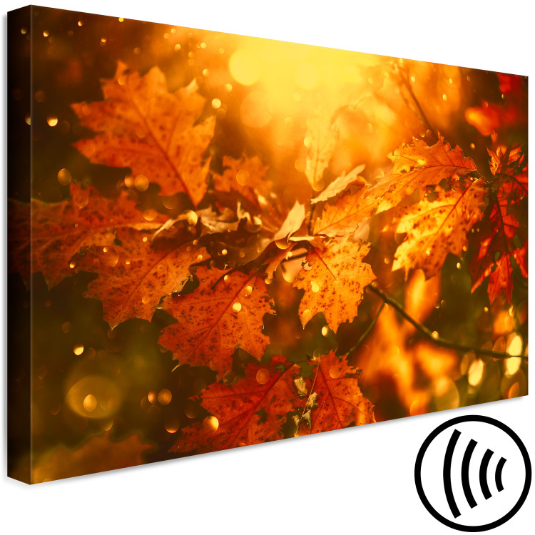 Canvas Print Autumn oak leaves - photograph of golden leaves in the rays of the sun 123785 additionalImage 6