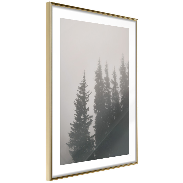 Wall Poster Scent of Forest Mist - gray landscape of misty spruce trees 130385 additionalImage 11