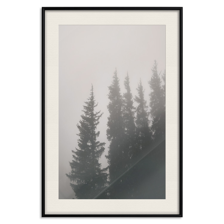 Wall Poster Scent of Forest Mist - gray landscape of misty spruce trees 130385 additionalImage 19