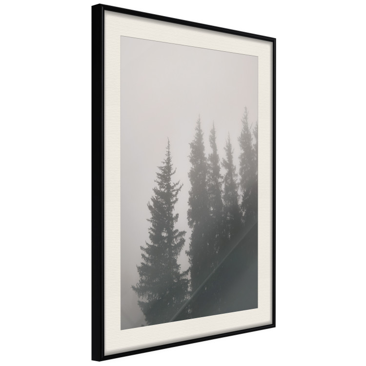 Wall Poster Scent of Forest Mist - gray landscape of misty spruce trees 130385 additionalImage 9