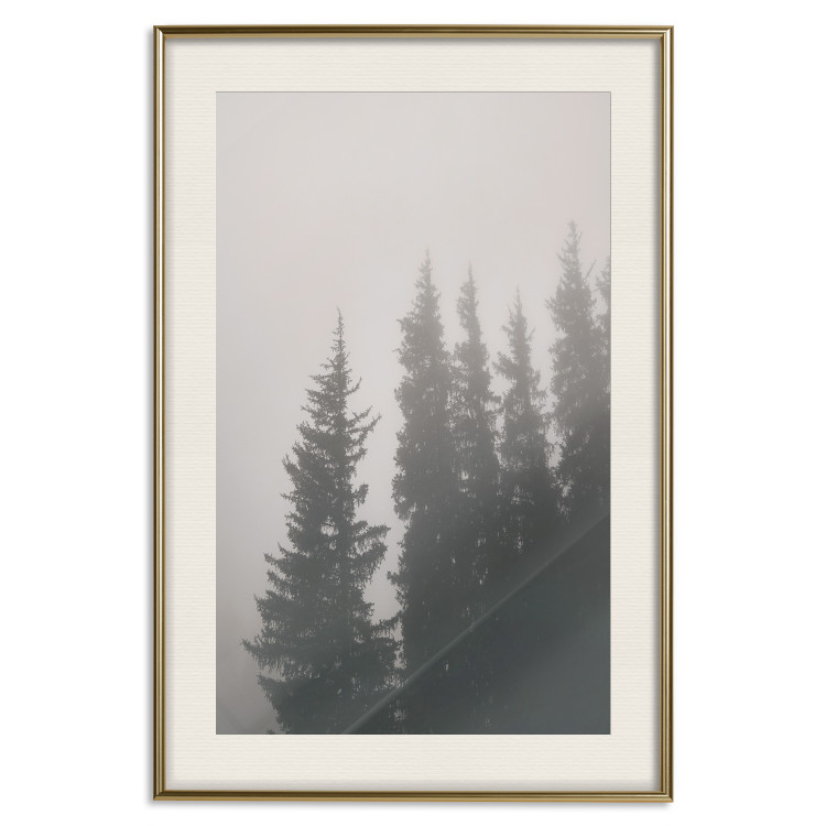 Wall Poster Scent of Forest Mist - gray landscape of misty spruce trees 130385 additionalImage 20