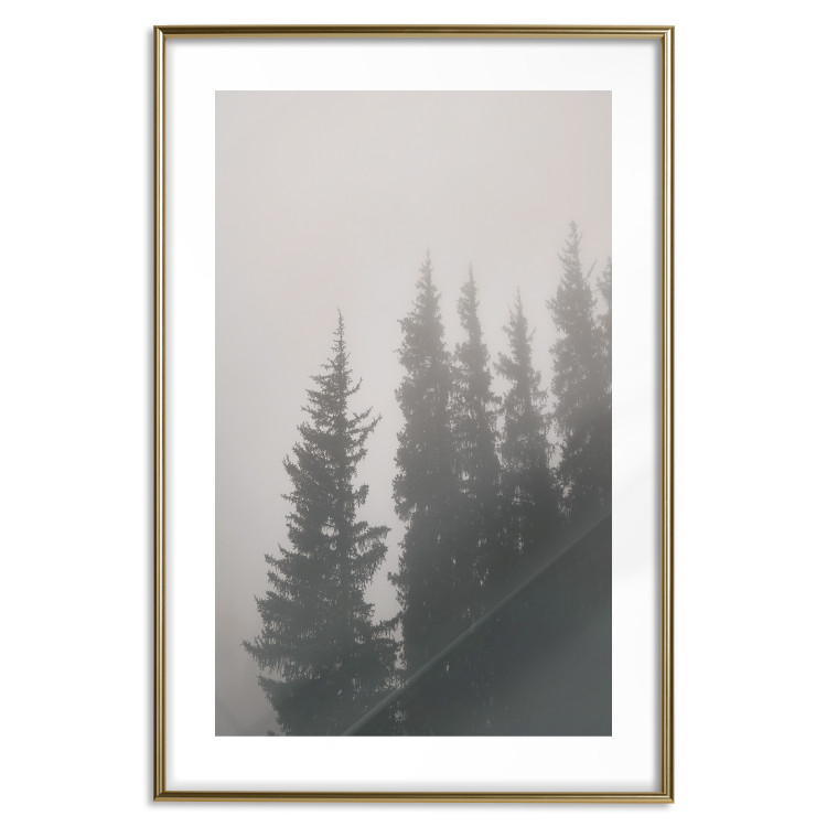 Wall Poster Scent of Forest Mist - gray landscape of misty spruce trees 130385 additionalImage 14