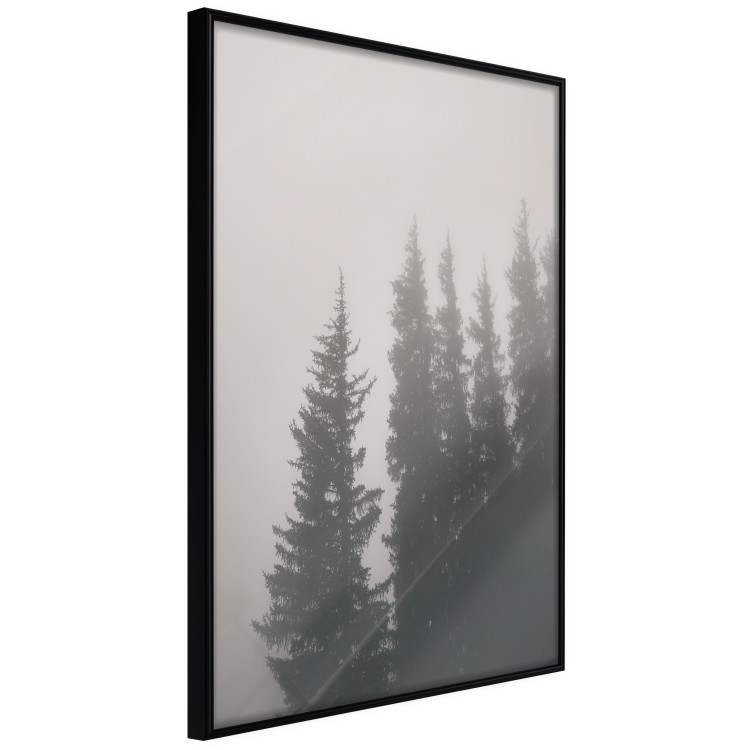Wall Poster Scent of Forest Mist - gray landscape of misty spruce trees 130385 additionalImage 2