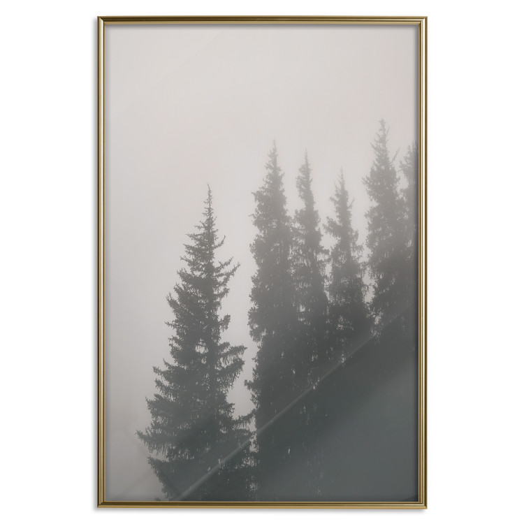 Wall Poster Scent of Forest Mist - gray landscape of misty spruce trees 130385 additionalImage 17