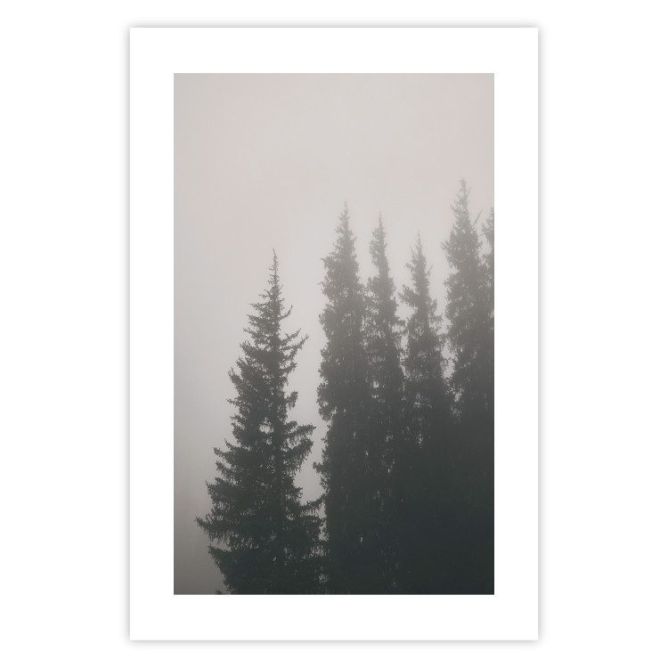 Wall Poster Scent of Forest Mist - gray landscape of misty spruce trees 130385 additionalImage 25