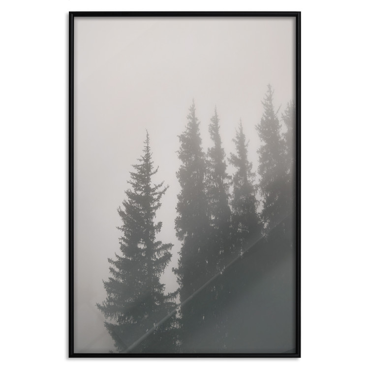 Wall Poster Scent of Forest Mist - gray landscape of misty spruce trees 130385 additionalImage 18