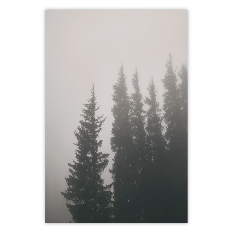 Wall Poster Scent of Forest Mist - gray landscape of misty spruce trees 130385