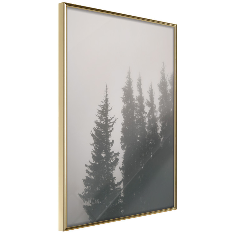 Wall Poster Scent of Forest Mist - gray landscape of misty spruce trees 130385 additionalImage 3