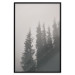 Wall Poster Scent of Forest Mist - gray landscape of misty spruce trees 130385 additionalThumb 16