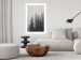 Wall Poster Scent of Forest Mist - gray landscape of misty spruce trees 130385 additionalThumb 8