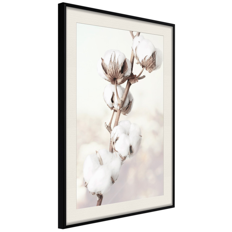 Wall Poster Subtlety of Nature - a landscape of a plant with white flowers on a bright background 130785 additionalImage 2