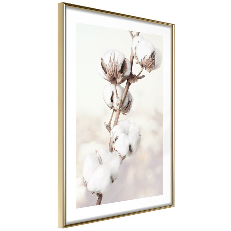 Wall Poster Subtlety of Nature - a landscape of a plant with white flowers on a bright background 130785 additionalImage 9