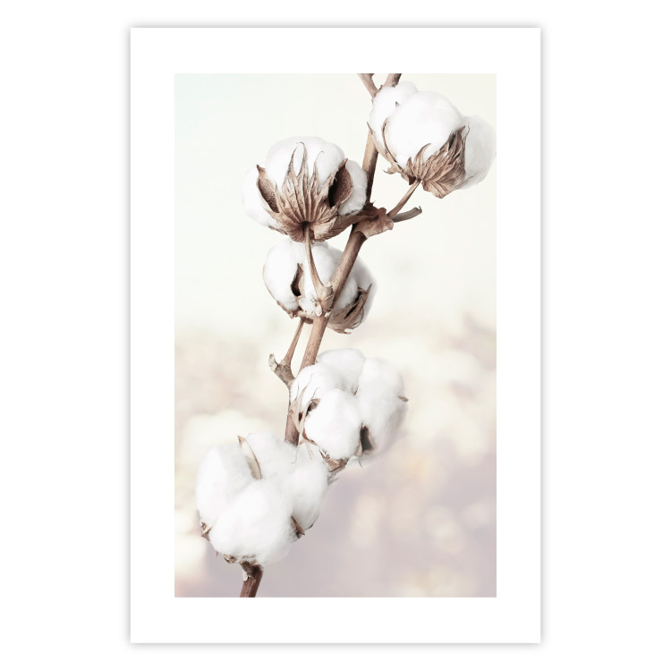 Wall Poster Subtlety of Nature - a landscape of a plant with white flowers on a bright background 130785 additionalImage 25