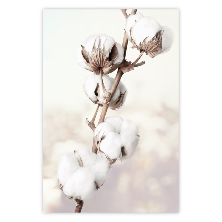 Wall Poster Subtlety of Nature - a landscape of a plant with white flowers on a bright background 130785