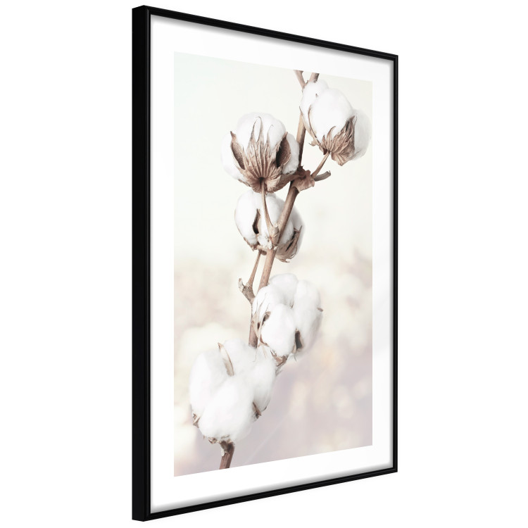 Wall Poster Subtlety of Nature - a landscape of a plant with white flowers on a bright background 130785 additionalImage 6