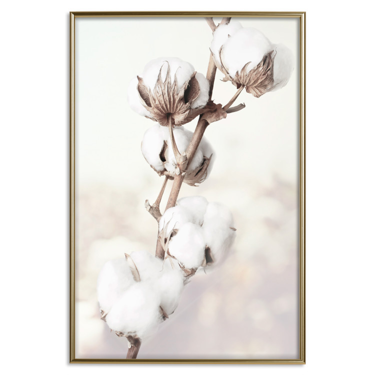 Wall Poster Subtlety of Nature - a landscape of a plant with white flowers on a bright background 130785 additionalImage 21