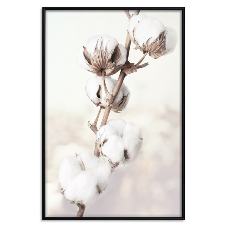 Wall Poster Subtlety of Nature - a landscape of a plant with white flowers on a bright background 130785 additionalImage 18