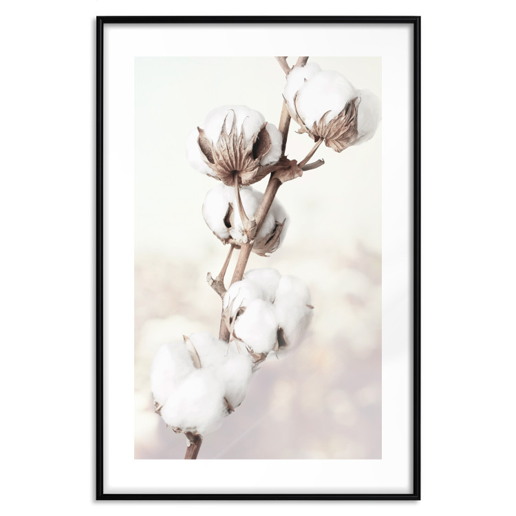 Wall Poster Subtlety of Nature - a landscape of a plant with white flowers on a bright background 130785 additionalImage 15