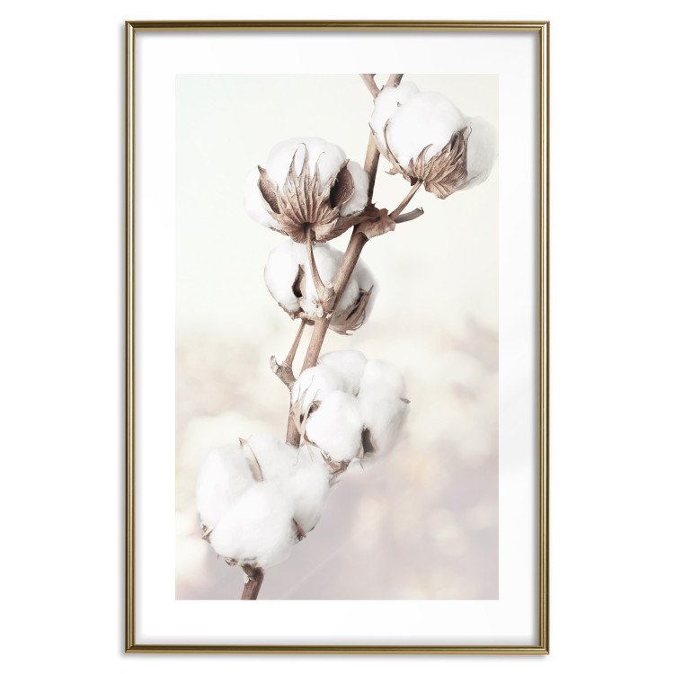 Wall Poster Subtlety of Nature - a landscape of a plant with white flowers on a bright background 130785 additionalImage 16