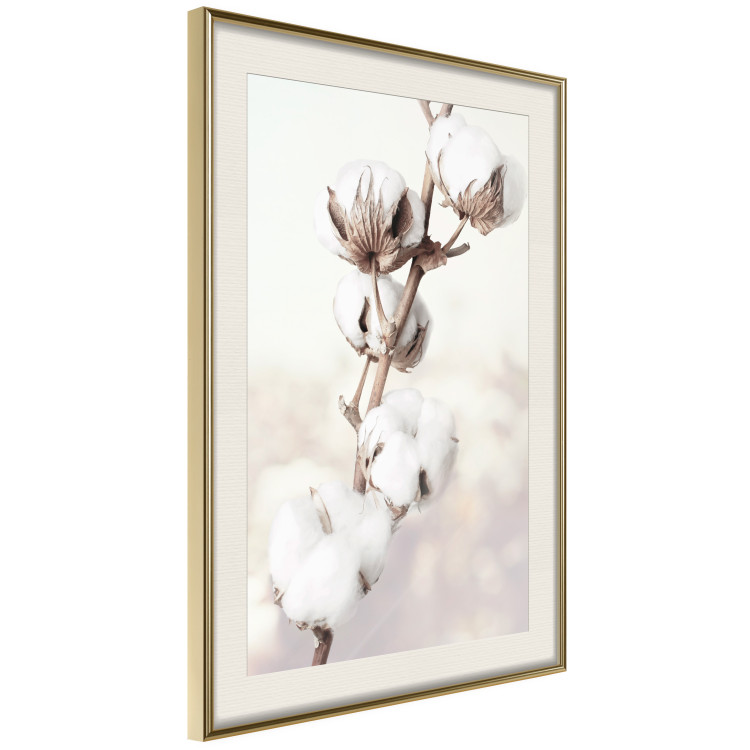 Wall Poster Subtlety of Nature - a landscape of a plant with white flowers on a bright background 130785 additionalImage 3