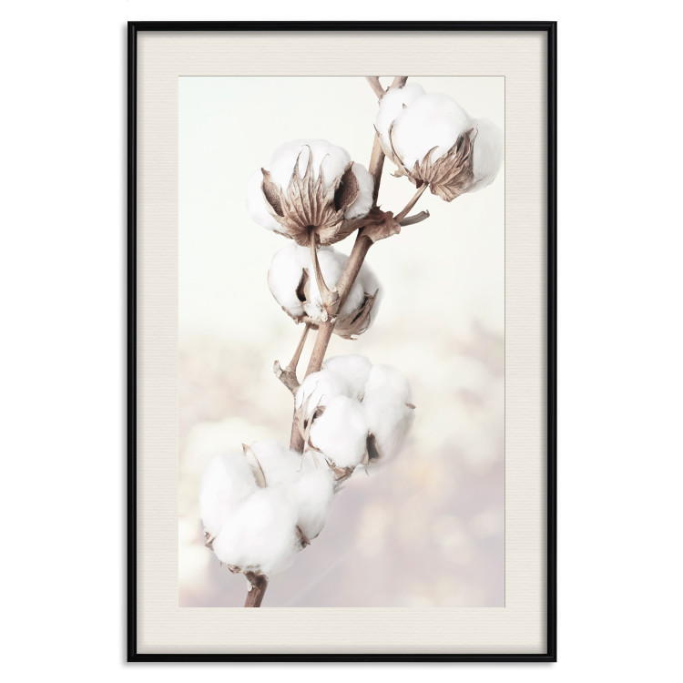 Wall Poster Subtlety of Nature - a landscape of a plant with white flowers on a bright background 130785 additionalImage 19