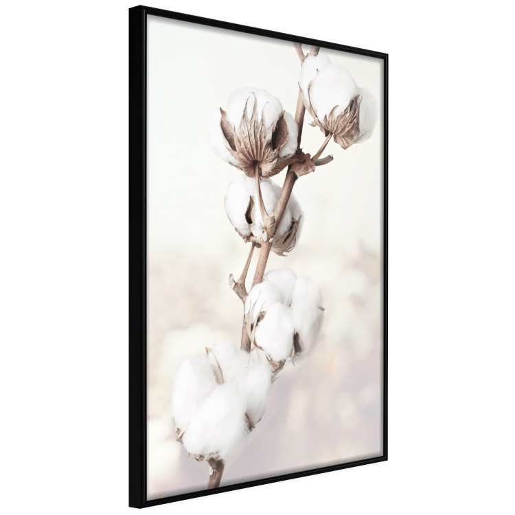Wall Poster Subtlety of Nature - a landscape of a plant with white flowers on a bright background 130785 additionalImage 13
