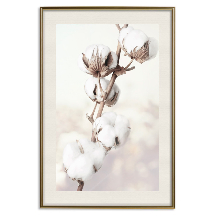 Wall Poster Subtlety of Nature - a landscape of a plant with white flowers on a bright background 130785 additionalImage 20