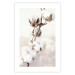 Wall Poster Subtlety of Nature - a landscape of a plant with white flowers on a bright background 130785 additionalThumb 19