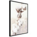 Wall Poster Subtlety of Nature - a landscape of a plant with white flowers on a bright background 130785 additionalThumb 13