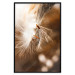 Wall Poster Gentle Swaying - plant with dandelion flower on an orange background 131785 additionalThumb 16