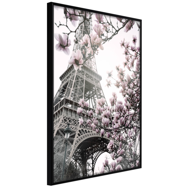 Poster Magnolias in the Sun of Paris - pink flowers against the gray backdrop of the Eiffel Tower 132285 additionalImage 11