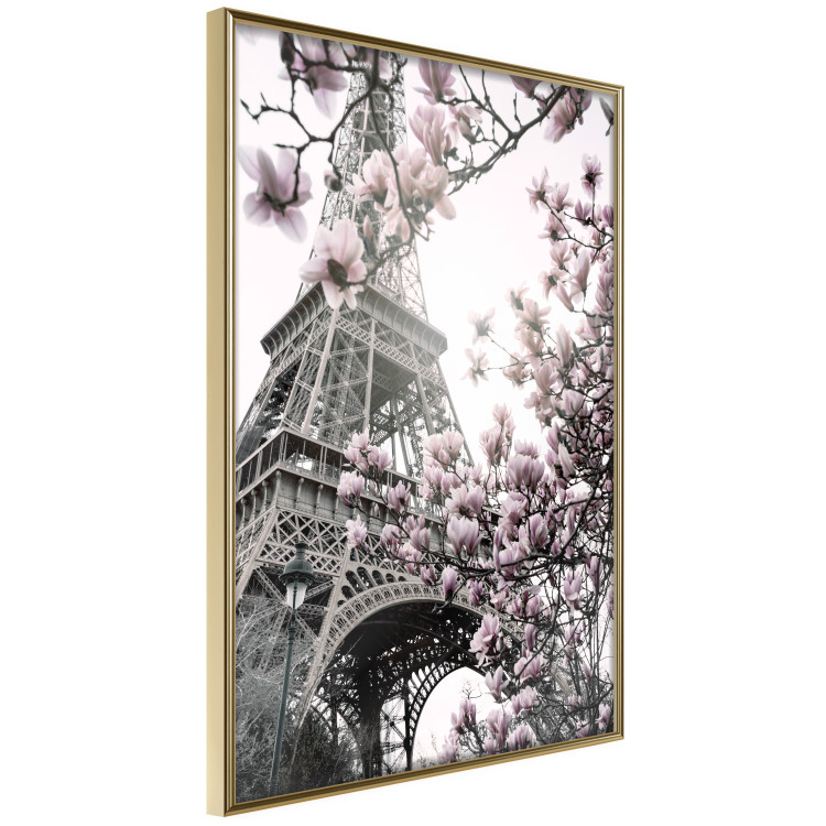 Poster Magnolias in the Sun of Paris - pink flowers against the gray backdrop of the Eiffel Tower 132285 additionalImage 14