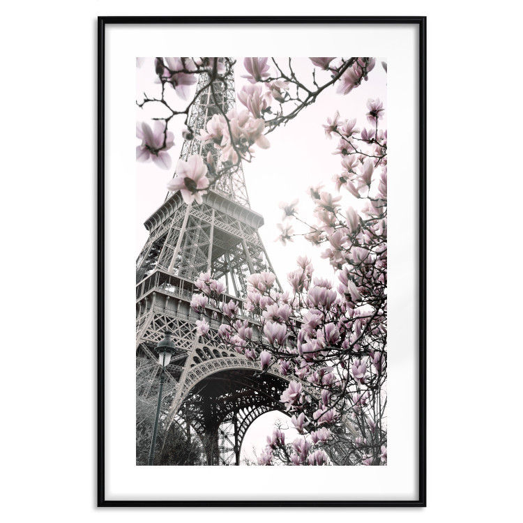 Poster Magnolias in the Sun of Paris - pink flowers against the gray backdrop of the Eiffel Tower 132285 additionalImage 15