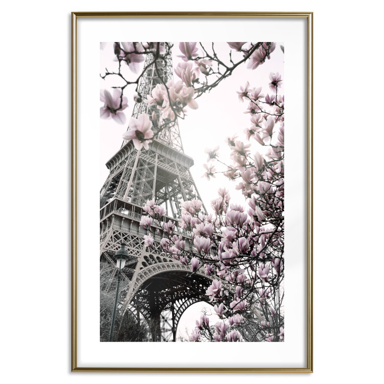 Poster Magnolias in the Sun of Paris - pink flowers against the gray backdrop of the Eiffel Tower 132285 additionalImage 14