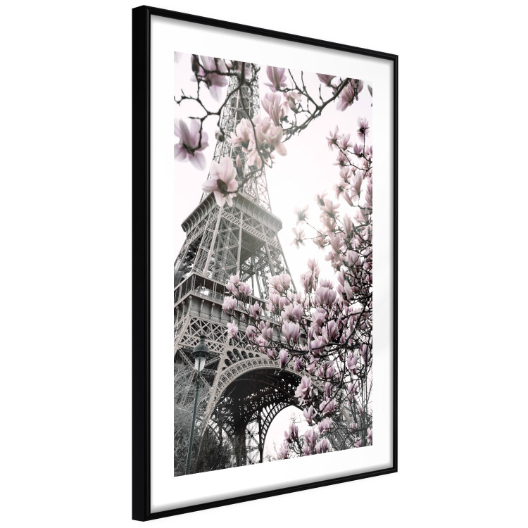 Poster Magnolias in the Sun of Paris - pink flowers against the gray backdrop of the Eiffel Tower 132285 additionalImage 8