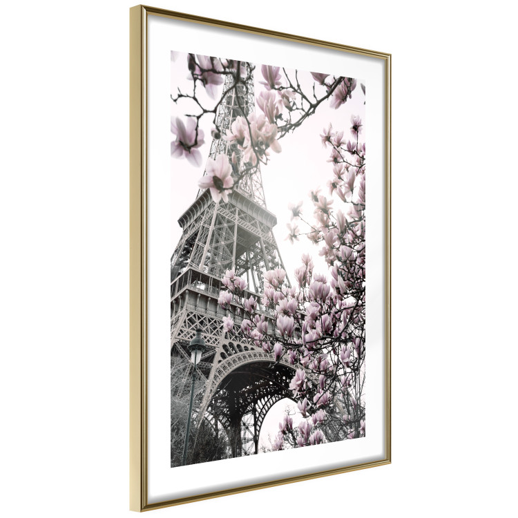 Poster Magnolias in the Sun of Paris - pink flowers against the gray backdrop of the Eiffel Tower 132285 additionalImage 9