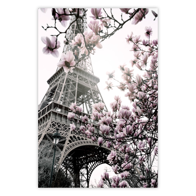 Poster Magnolias in the Sun of Paris - pink flowers against the gray backdrop of the Eiffel Tower 132285