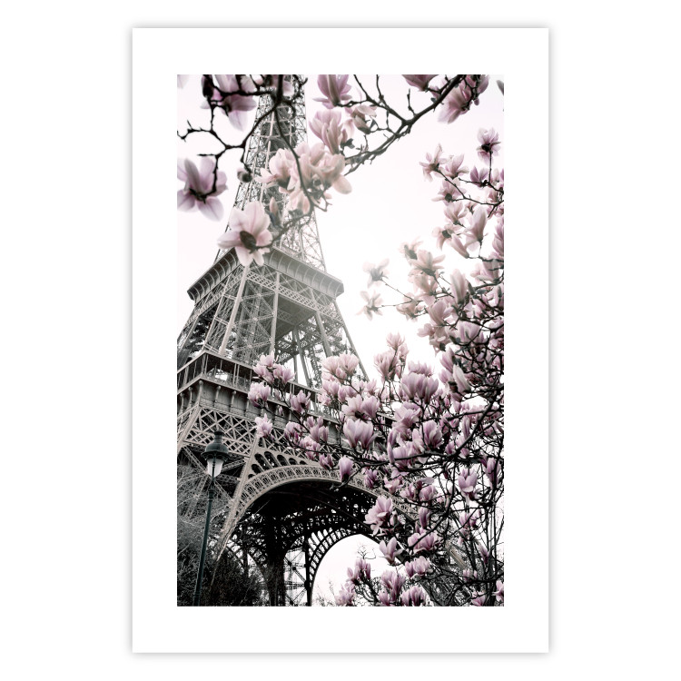 Poster Magnolias in the Sun of Paris - pink flowers against the gray backdrop of the Eiffel Tower 132285 additionalImage 19