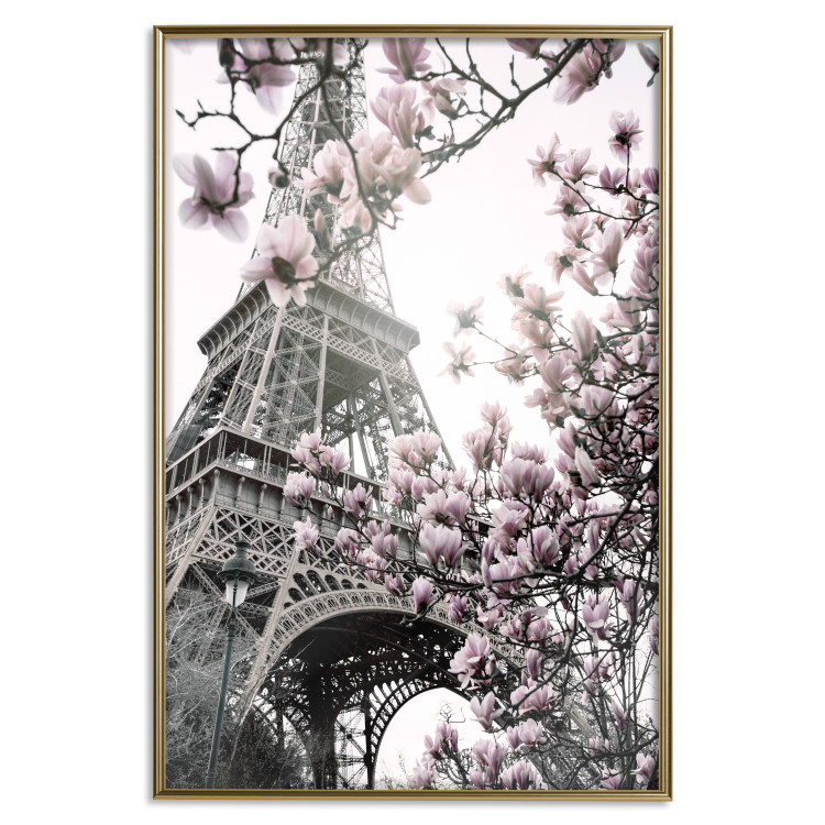 Poster Magnolias in the Sun of Paris - pink flowers against the gray backdrop of the Eiffel Tower 132285 additionalImage 17