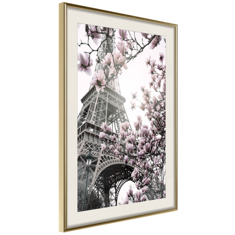 Poster Magnolias in the Sun of Paris - pink flowers against the gray backdrop of the Eiffel Tower 132285 additionalImage 3