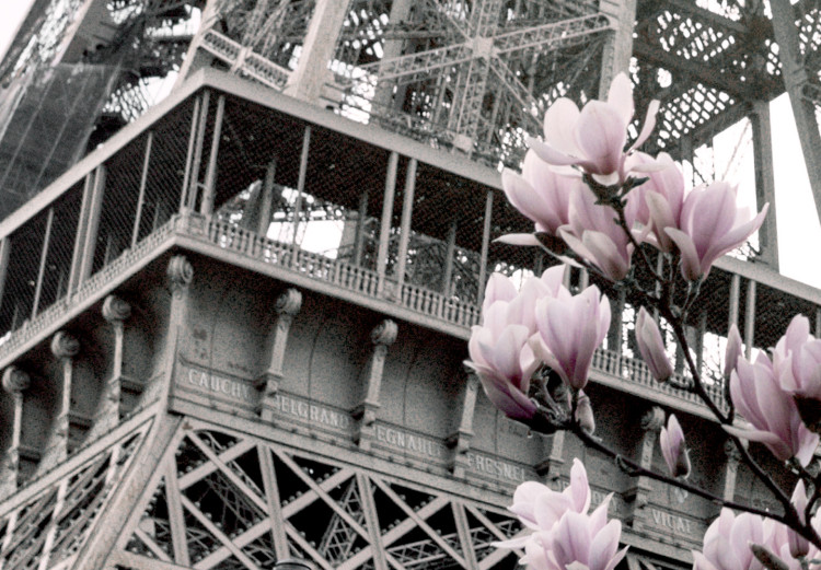 Poster Magnolias in the Sun of Paris - pink flowers against the gray backdrop of the Eiffel Tower 132285 additionalImage 11