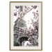 Poster Magnolias in the Sun of Paris - pink flowers against the gray backdrop of the Eiffel Tower 132285 additionalThumb 20