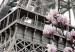 Poster Magnolias in the Sun of Paris - pink flowers against the gray backdrop of the Eiffel Tower 132285 additionalThumb 11