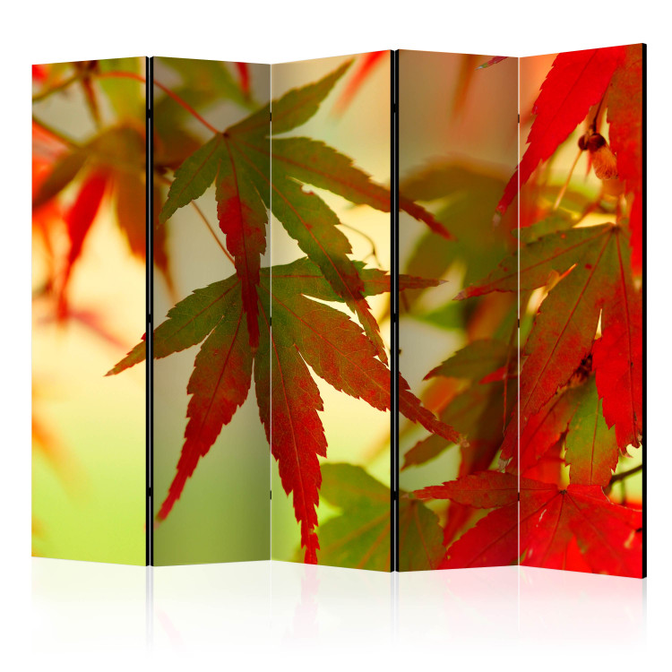 Room Divider Screen Colorful Leaves II - tree with red-green leaves on a light background 133985