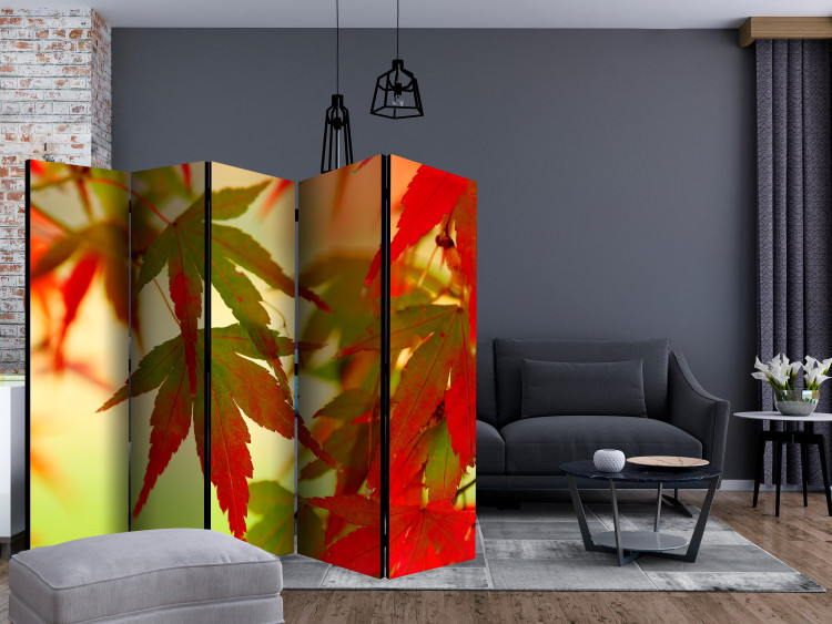 Room Divider Screen Colorful Leaves II - tree with red-green leaves on a light background 133985 additionalImage 4