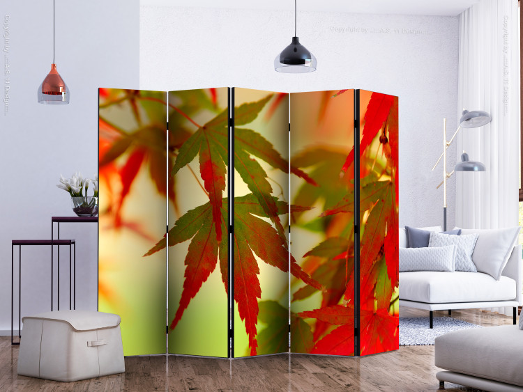 Room Divider Screen Colorful Leaves II - tree with red-green leaves on a light background 133985 additionalImage 2