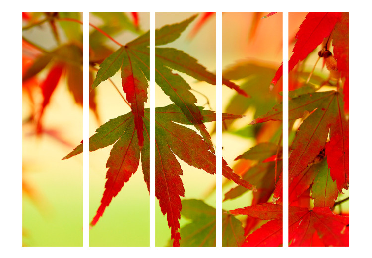Room Divider Screen Colorful Leaves II - tree with red-green leaves on a light background 133985 additionalImage 3